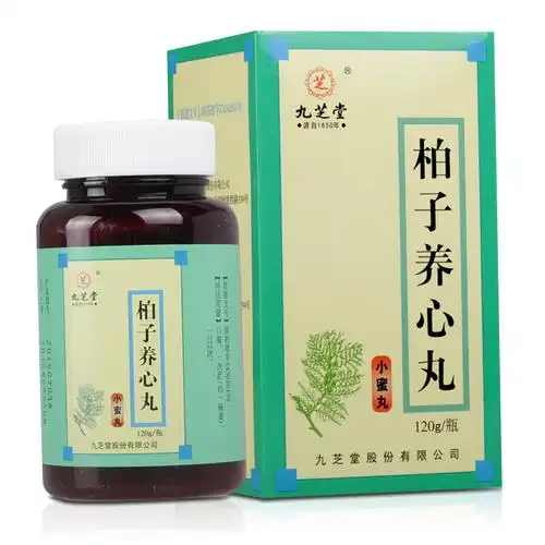 柏子养心丸,九芝堂 柏子养心丸 120g*1瓶/盒,丸剂_120g,集药方舟宝家