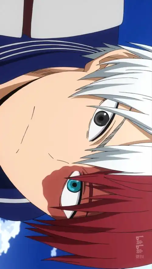 我的英雄学院轰焦冻