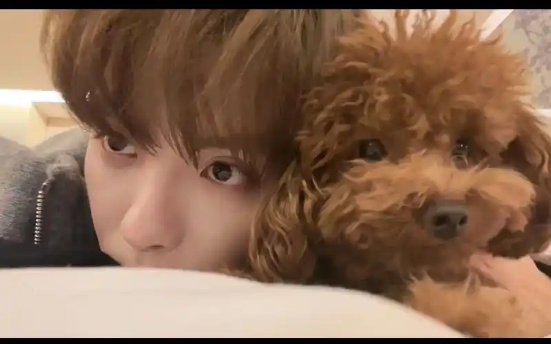 【肖宇梁】哥太帅,剪个视频脸给我笑僵了