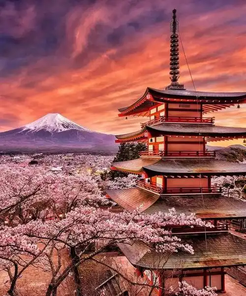 日本8大最佳赏樱地全攻略请收好