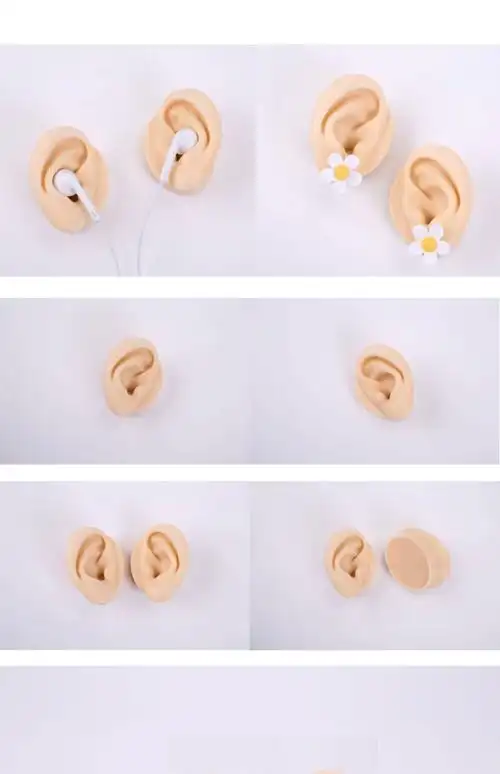 耳朵模型硅胶硅胶仿真仿真模型硅胶模型耳钉耳机展示道具厂家直销