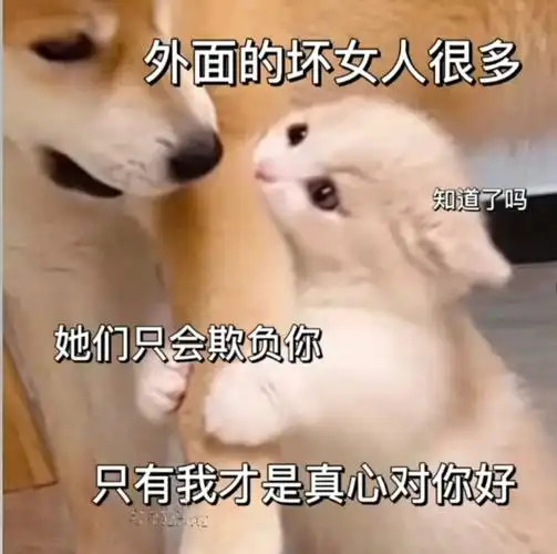 男朋友撒娇表情包