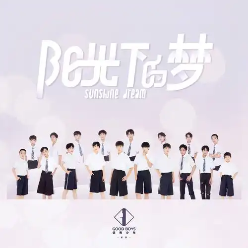 优秀少年goodboys阳光下的梦