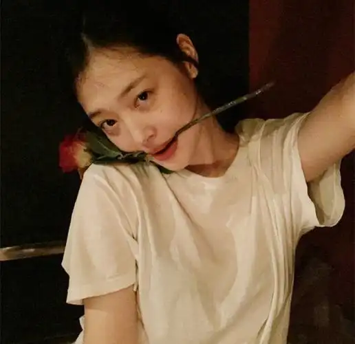 崔雪莉头像##致美丽的崔雪莉