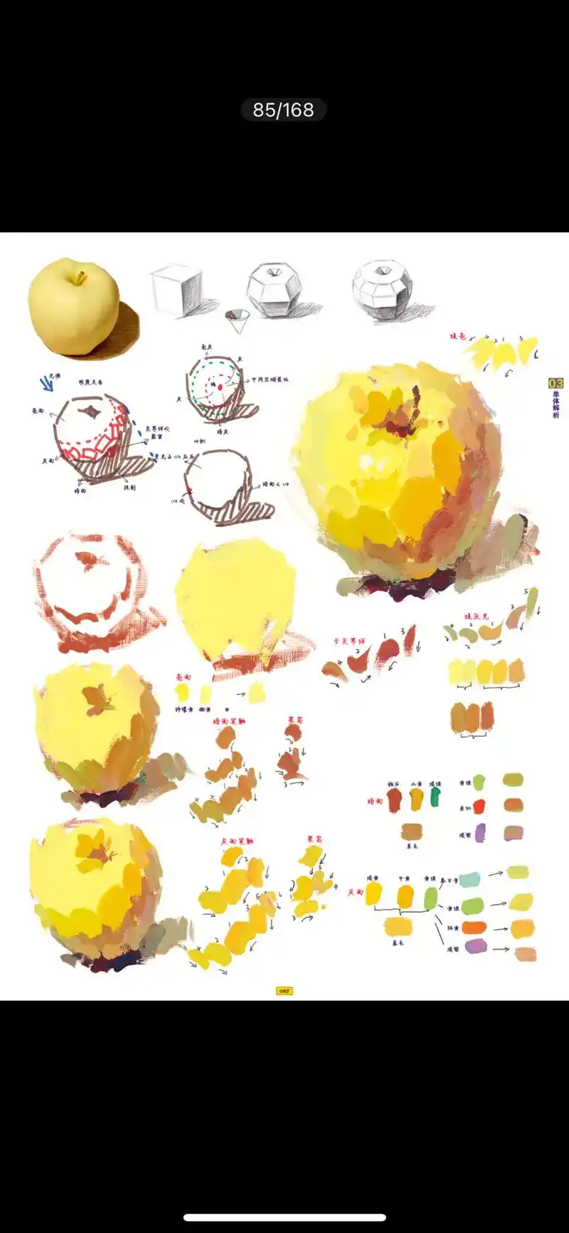 色彩单体必会的水果调色和用笔分析