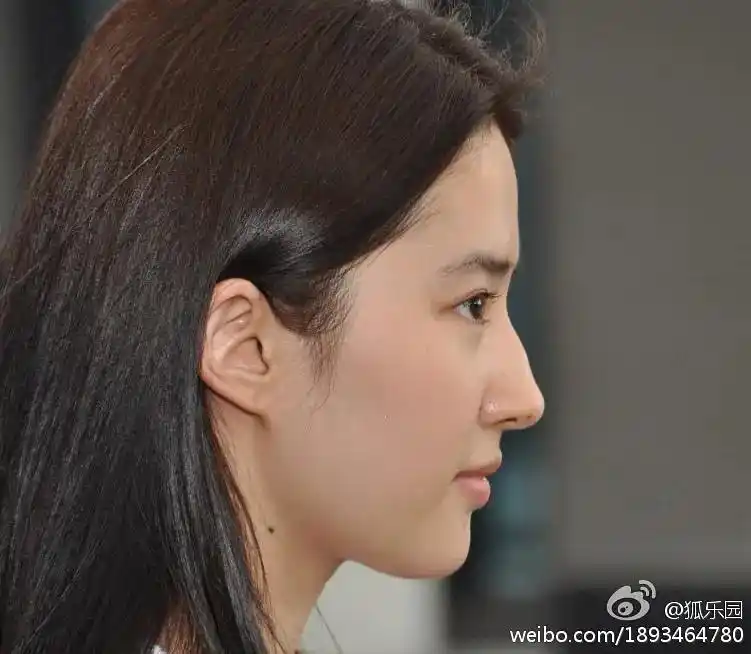 董洁和刘亦菲的鼻子更喜欢哪一种