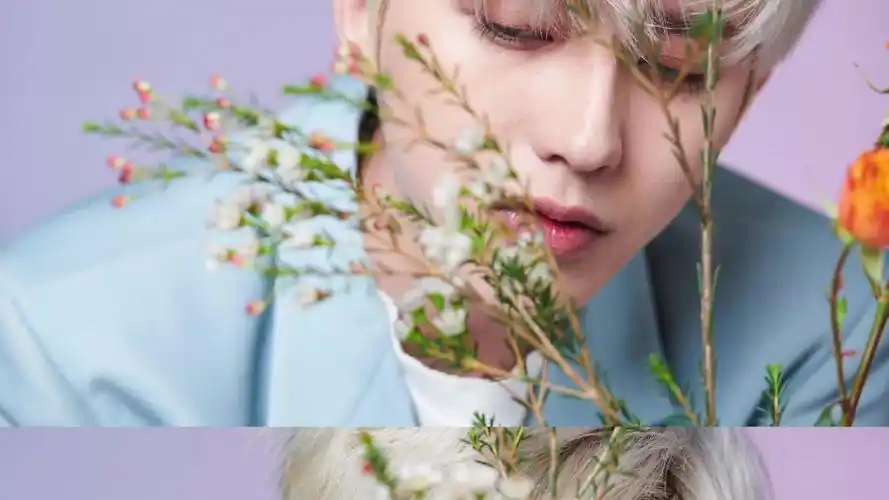 思绪划进凝固的梦幻,搁浅在静谧的记忆里.@蔡徐坤-娱乐视频-搜狐视频