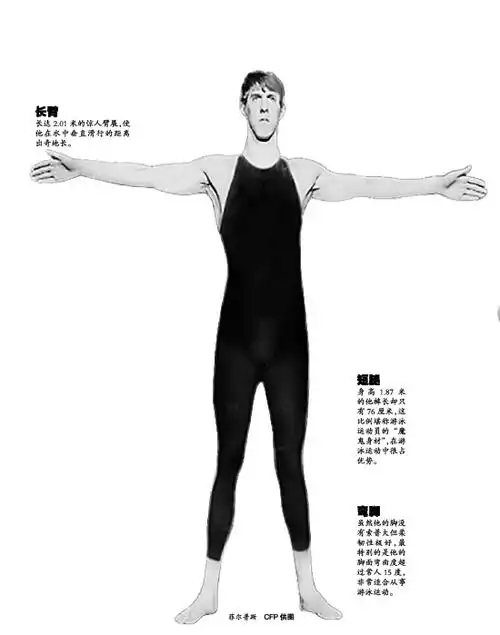 菲尔普斯为何成泳坛"极品" 三大独特成就传奇