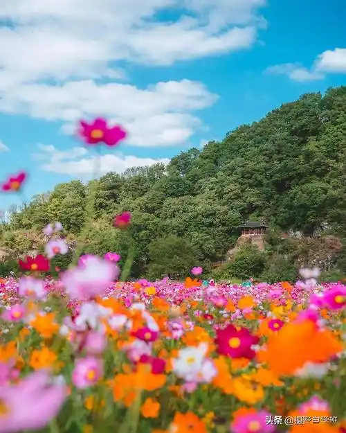 风景照片点评,知道别人拍摄的照片错在哪,可以帮你拍得更好_感觉_天空