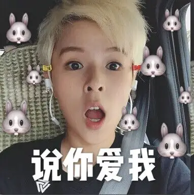 sunnee杨芸晴 表情包 sunnee你不热吗