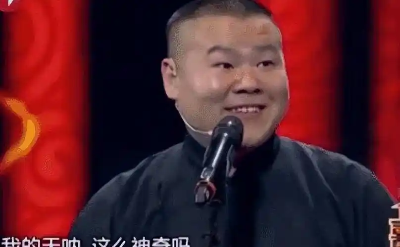 很快,岳云鹏就成了相声舞台上的"小岳岳",他说相声时的表情都被做成了