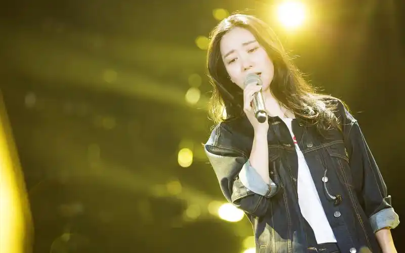 【谭晶】2004北京工体演唱会