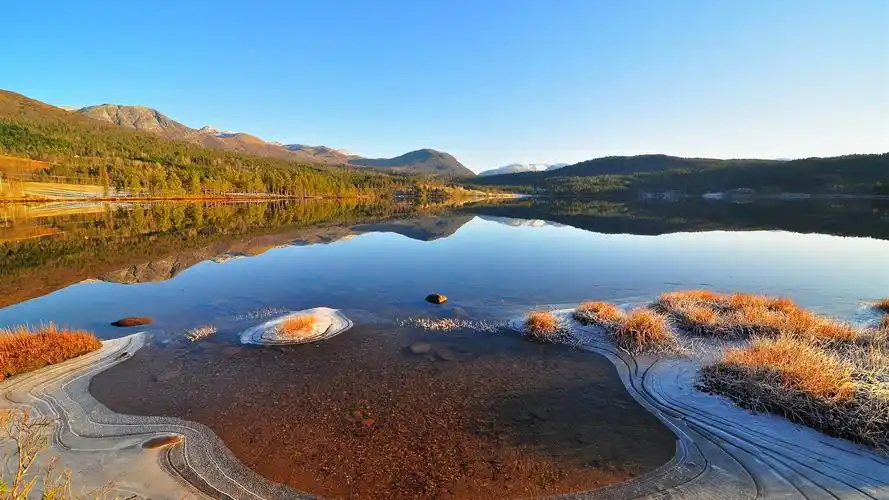 湖,冰,清水,霜,草 壁纸 - 1920x1080 全高清