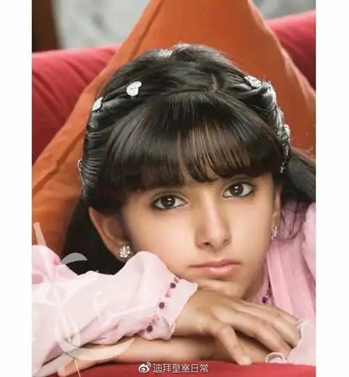 迪拜皇室王子公主总览