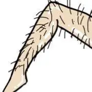 腿毛给你看_腿毛表情