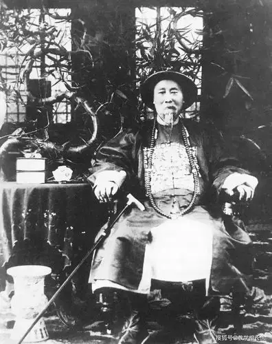 李鸿章在美国照片,穿黄马褂,身高1米83,惊艳纽约街头