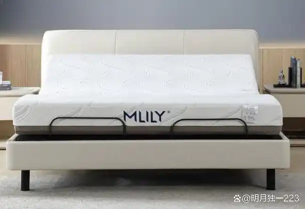 梦百合电动床垫哪款好?性价比高,质量好的床垫型号揭秘