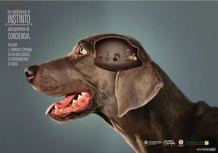 高清个性创意广告-清新艺术表达-细品时光 [20p]