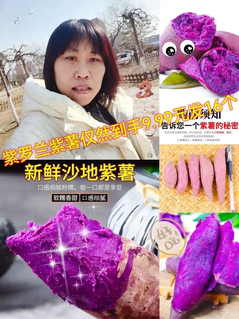 健康农产品16枚小紫薯湖北紫罗兰地瓜番薯.快开学了,孩子早餐 - 抖音