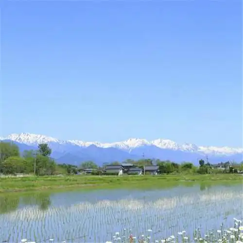 唯美小清新风景头像