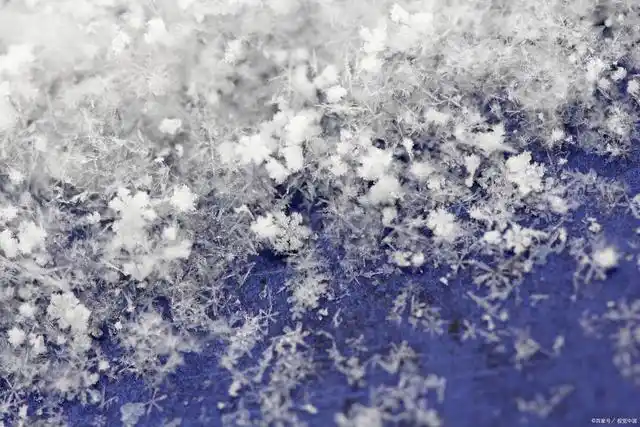 雪花雪花满天飞,为谁翩跹为谁美丽?