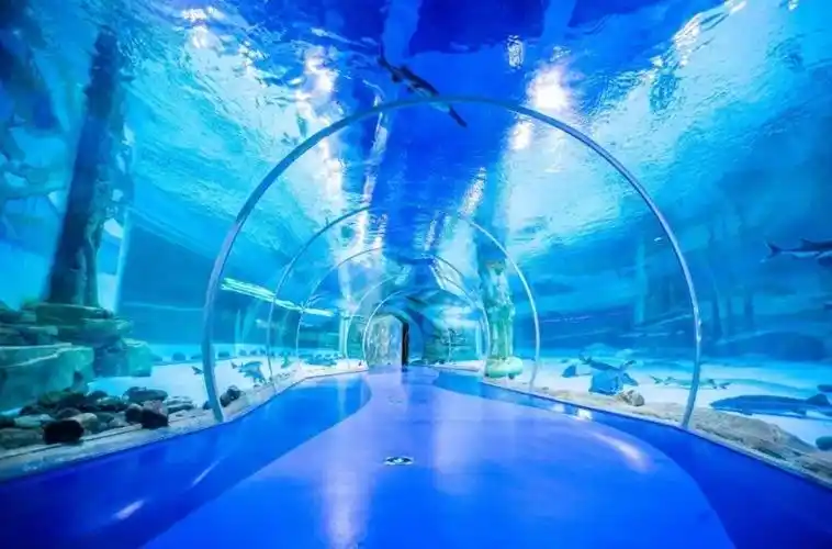 文旅篇丨亚克力水下隧道带你饱览水底世界