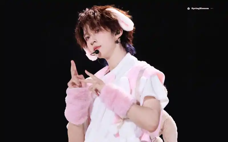 贺峻霖《非我不可》直拍