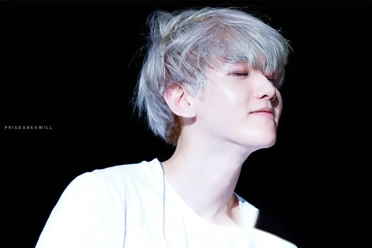 边伯贤一头白发现身机场,这是什么神仙颜值,咱们也不知道咱也不敢问