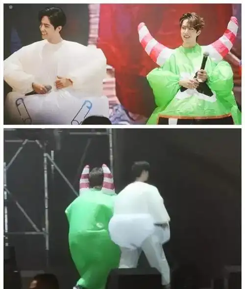 天涯被证实的料肖战王一博