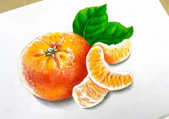 彩铅橘子