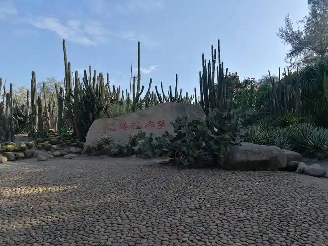 冬游鹭岛――万石植物园(二)