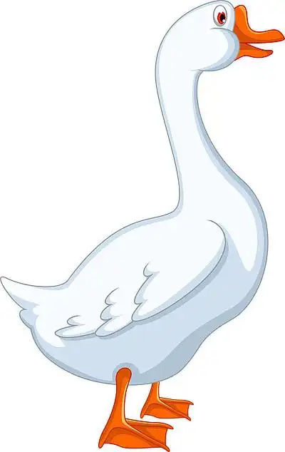 国内只白鹅卡通