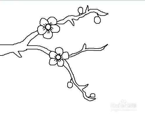 梅花的简笔画