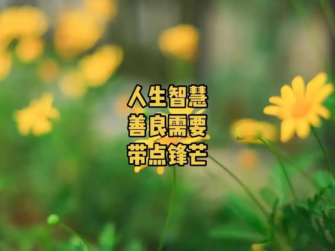 别把善良留给不懂感恩的人.爱默生说:"你的善 - 抖音