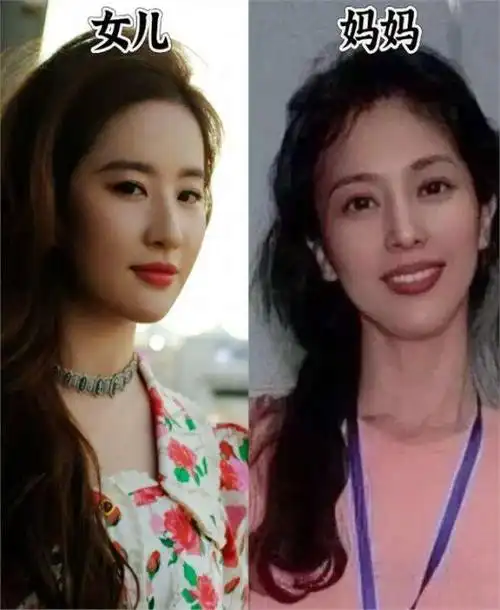 "神仙妈妈"刘晓莉:3次惊人抉择,捧红刘亦菲,对自己有多狠心
