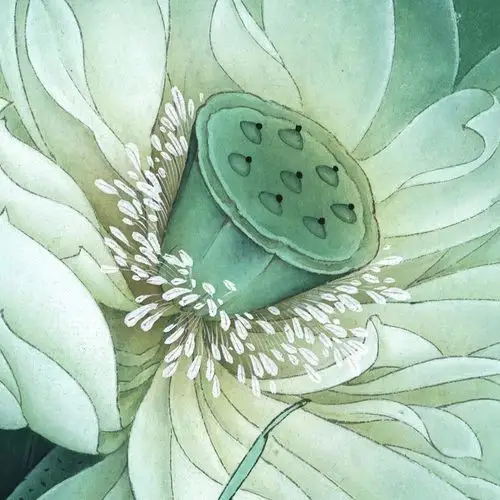 李晓明工笔荷花作品选(下)