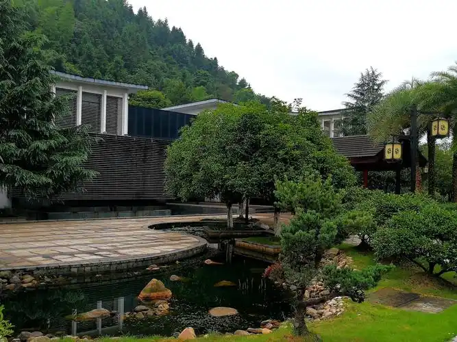 世界名泉之一江西宜春明月山景区(5aaaaa)温汤镇