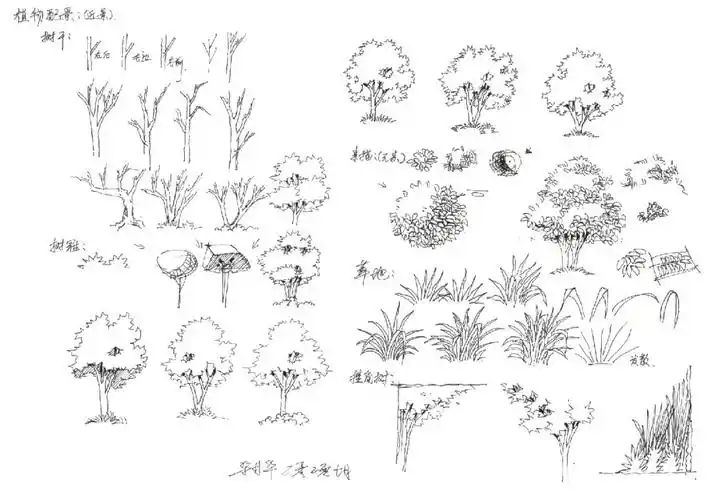 景观手绘树木该怎么画?