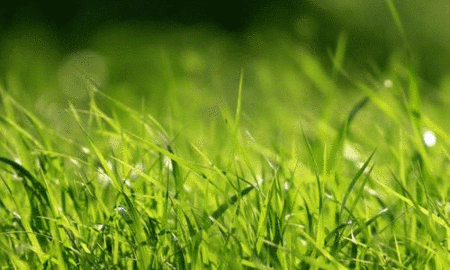 450_270gif 动态图 动图