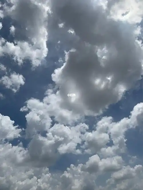 我是我你只是一个过路人