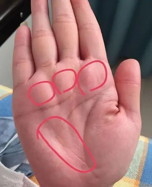 旺夫女人手相图解,晚年有福有财!