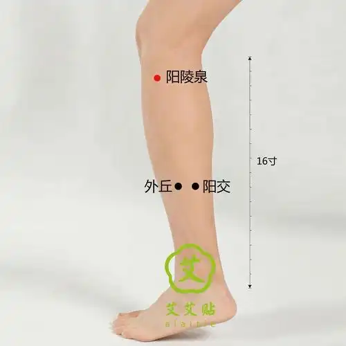 阳陵泉是足少阳胆经的合穴,在小腿外侧,当腓骨头前下方凹陷处.