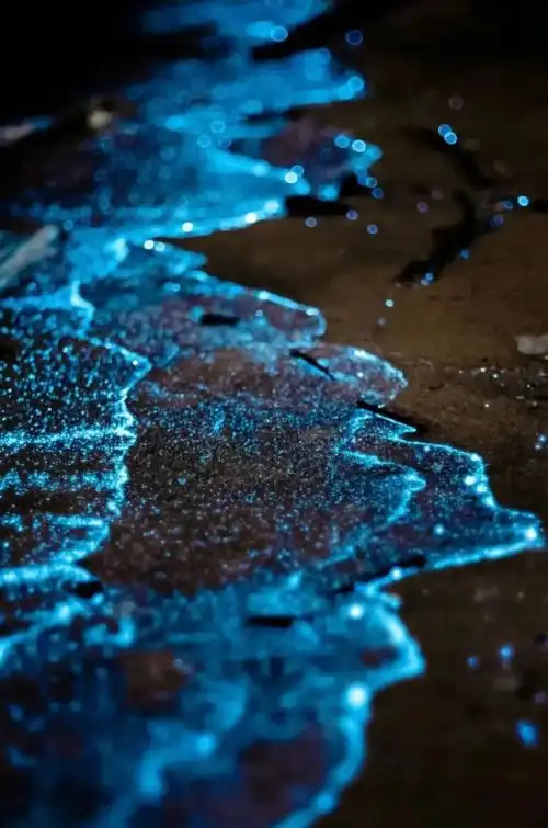 1080_1630竖版 竖屏