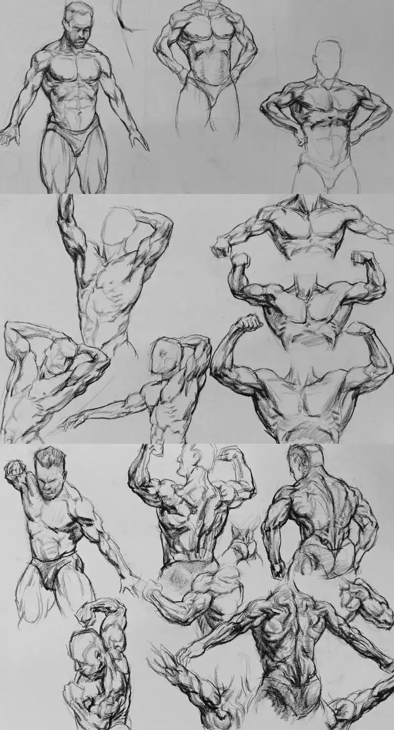 速写肌肉运动规律练习#画画 #原创 #仵金明速写 #速写#美 - 抖音