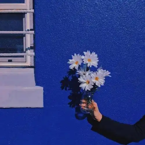 2021年最火背景图高清 ,精心挑选个性朋友圈背景图_sh书昶短视频培训