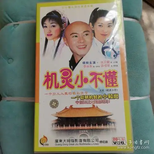 【电视剧】机灵小不懂 【30集电视剧——张卫健 李冰冰 薛佳凝】20vcd