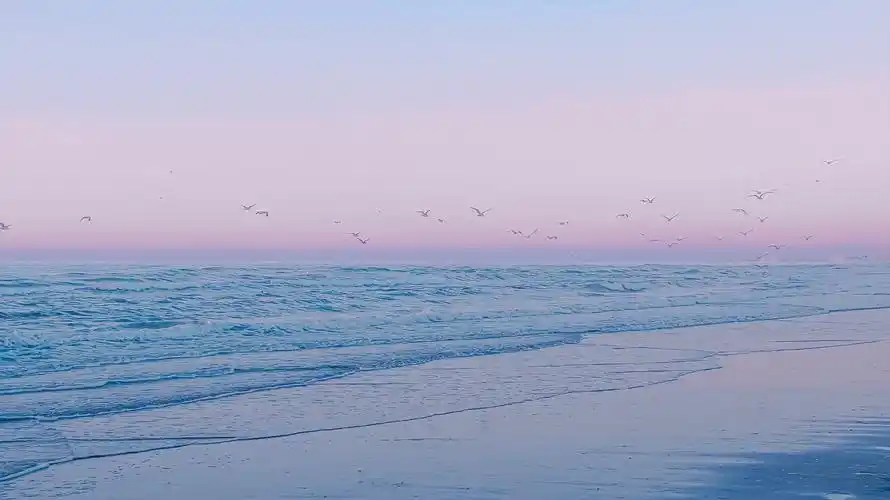 有什么壁纸能让 ipad 横屏和竖屏都合适? - 知乎