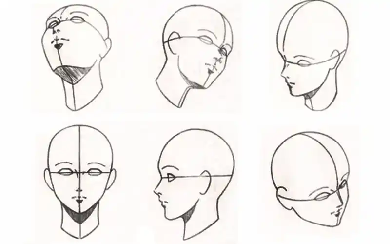 【新手向】零基础初学入门画漫画头部教程学习 漫画头部画法:各种角度