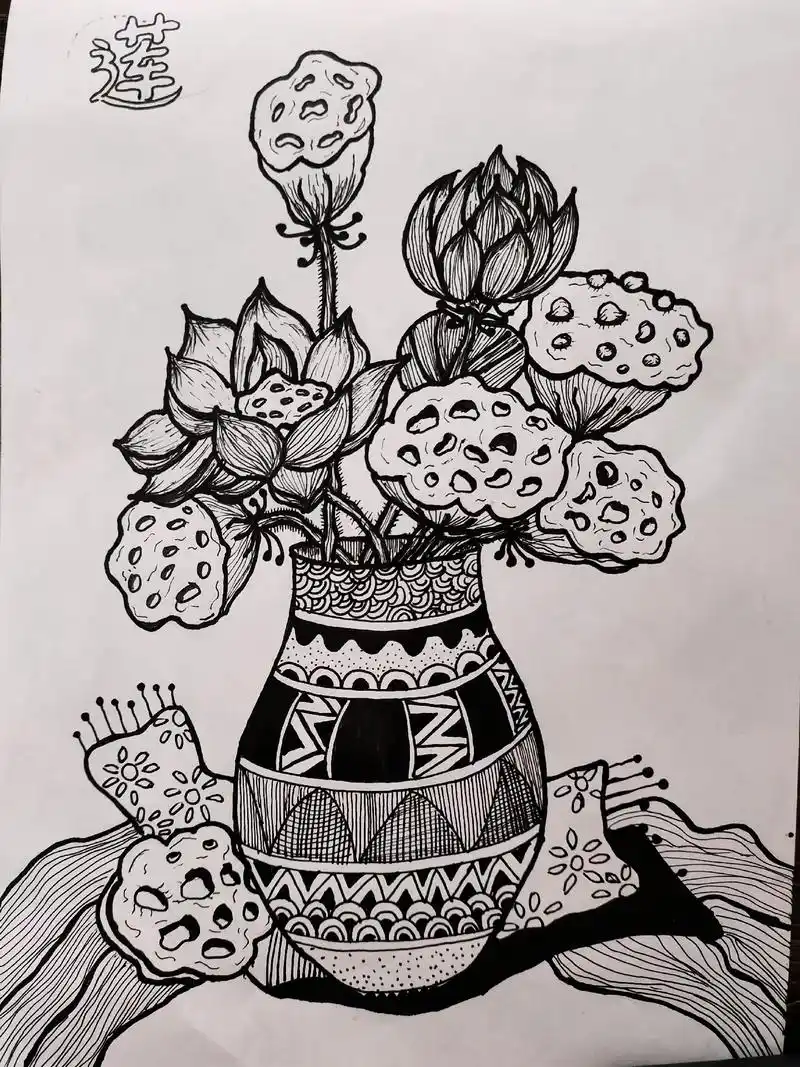 今日更新:《莲》创意线描画     适合六岁以上小朋友绘画~ - 抖音
