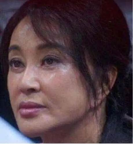 刘晓庆的脸终于崩了,网友:一点也不像她,肿得像馒头!